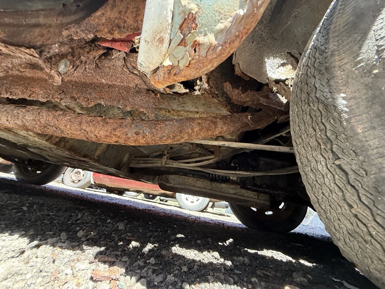 IMG_0887 – grande.jpeg