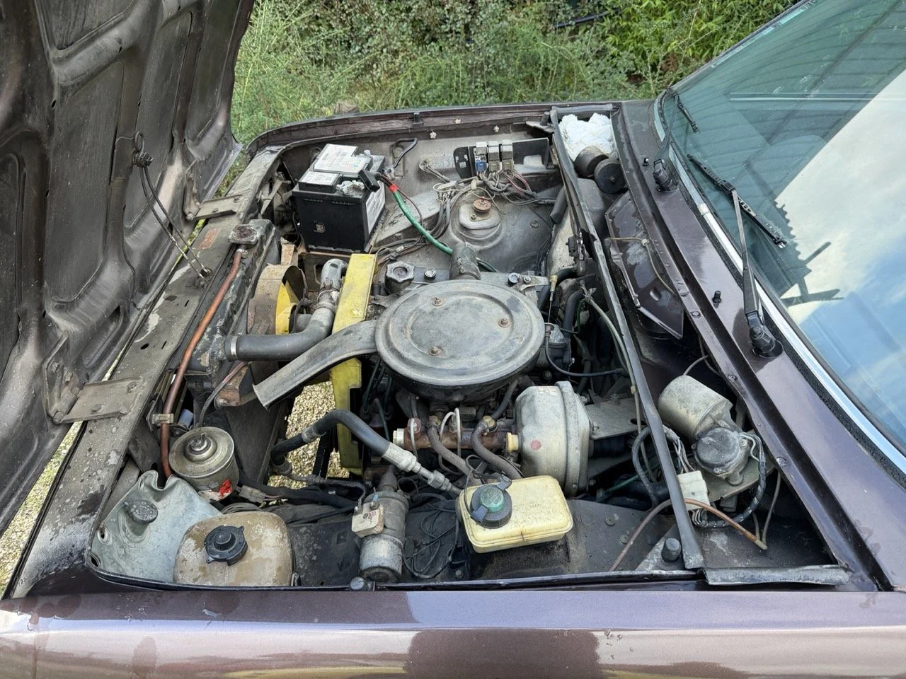 IMG_5277 – grande.jpeg