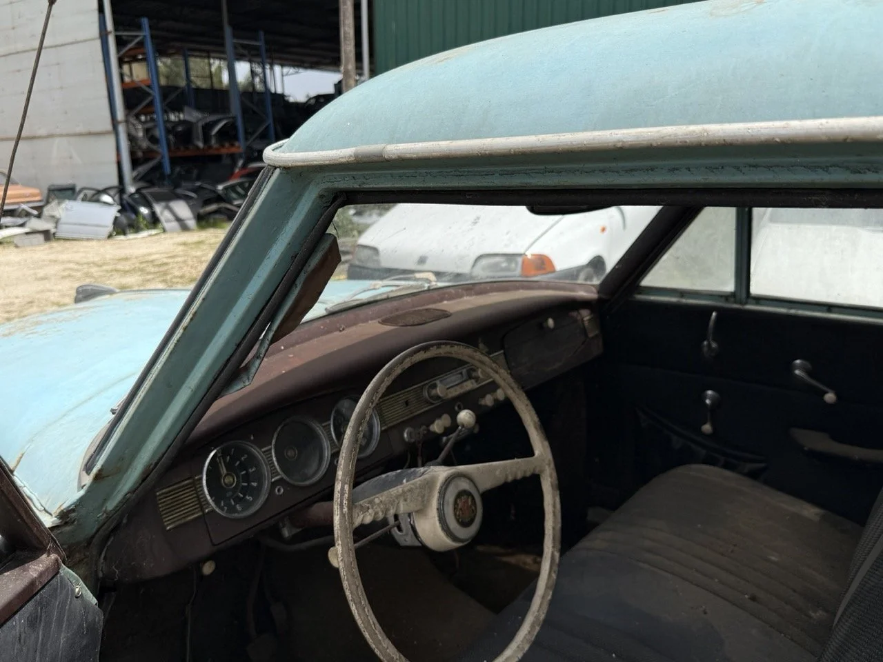 IMG_1380 – grande.jpeg