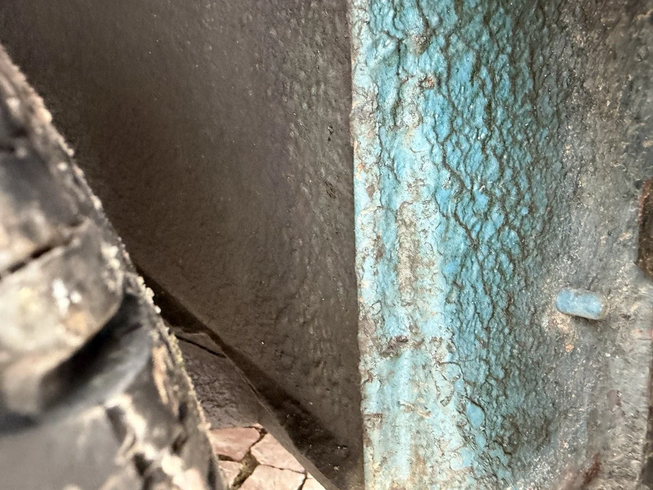 IMG_6356 – grande.jpeg