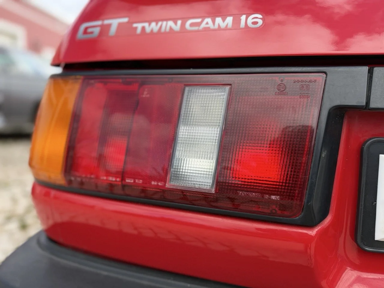 IMG_2406 – grande.jpeg