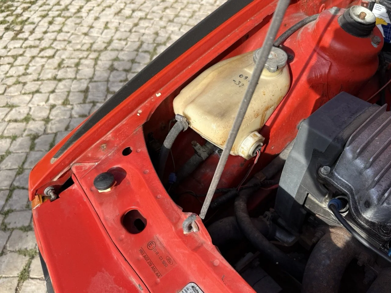 IMG_2737 – grande.jpeg