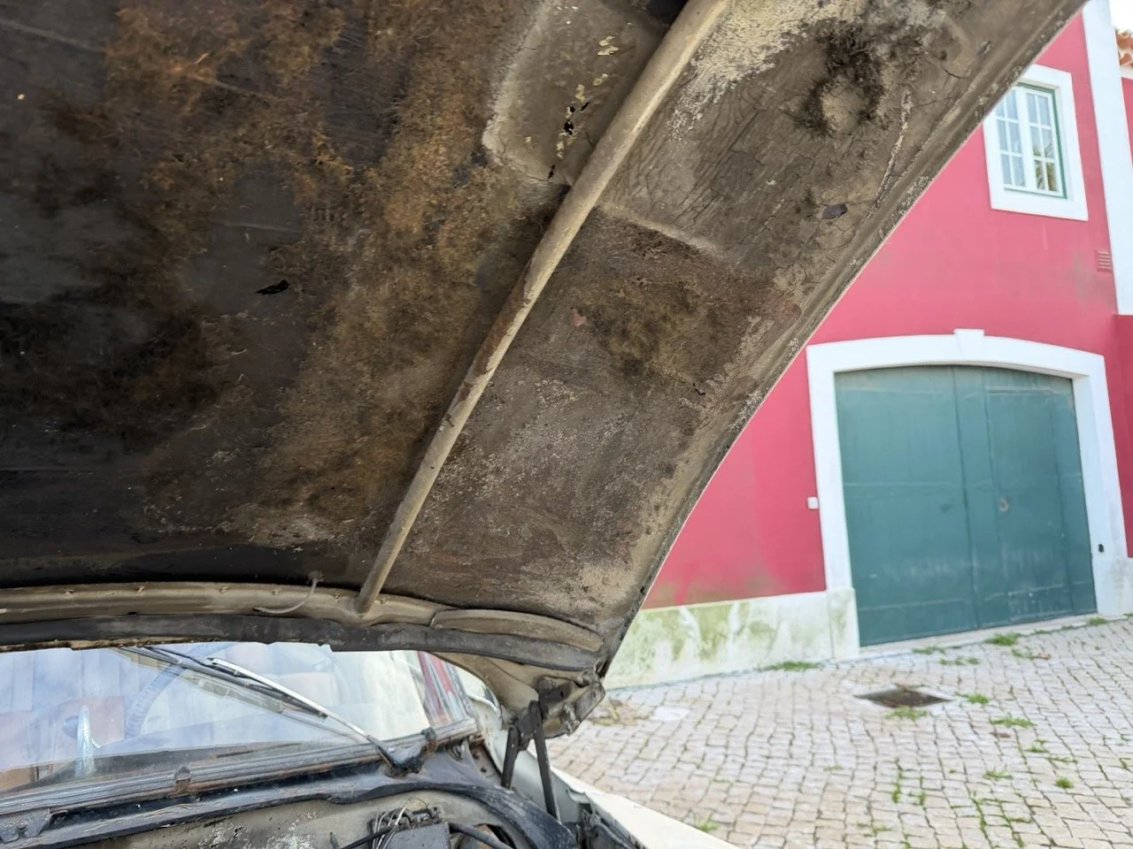 IMG_5979 2 – grande.jpeg