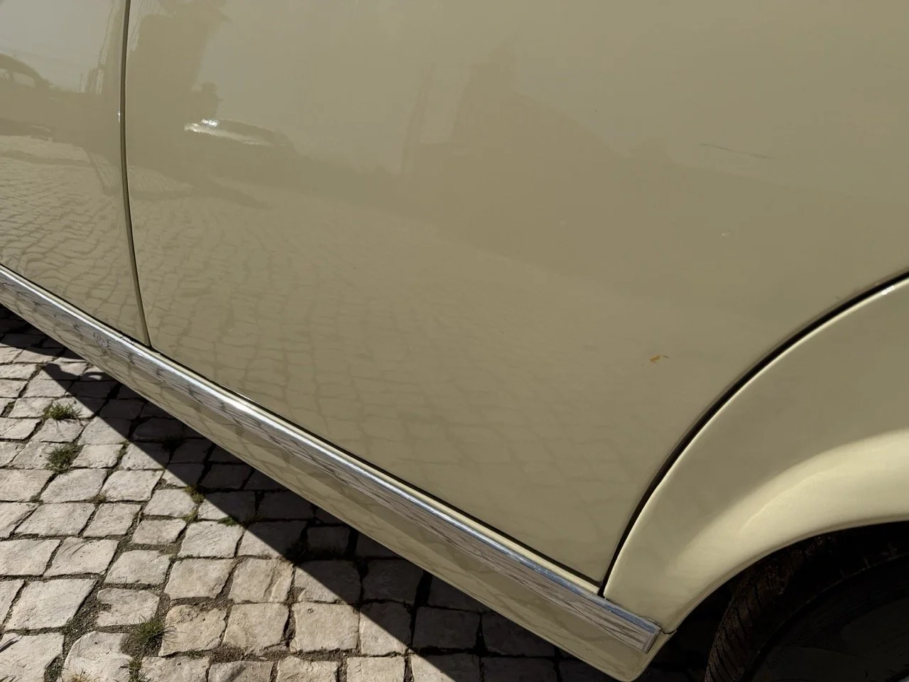 IMG_6722 – grande.jpeg