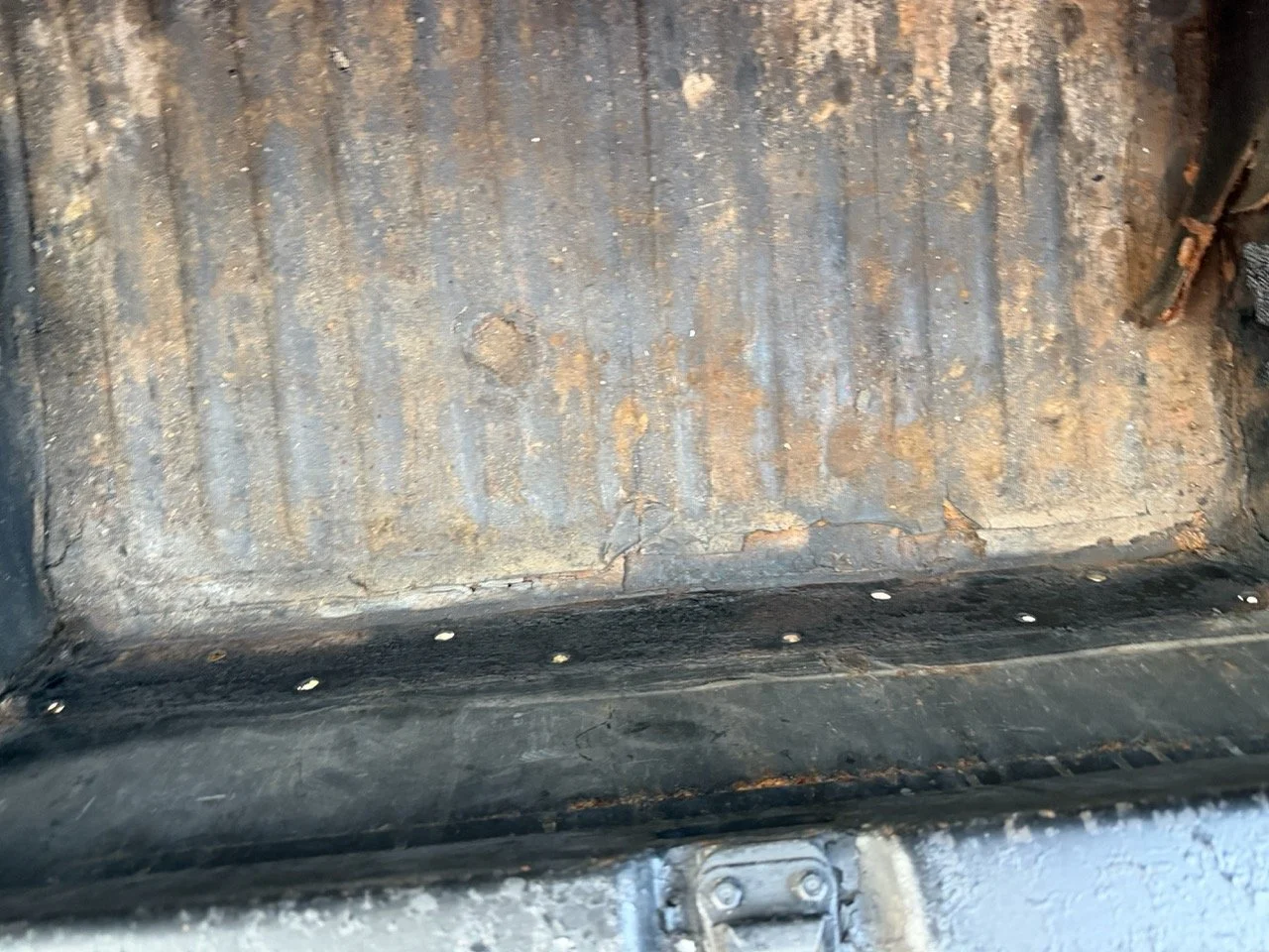 IMG_5949 2 – grande.jpeg