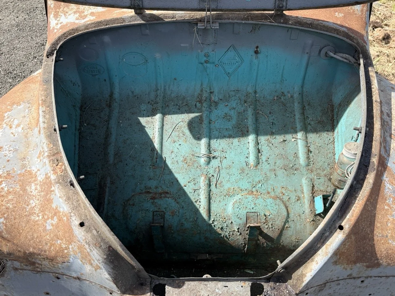 IMG_0297 – grande.jpeg