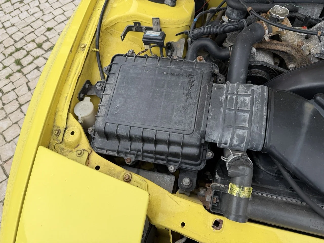 IMG_9757 – grande.jpeg