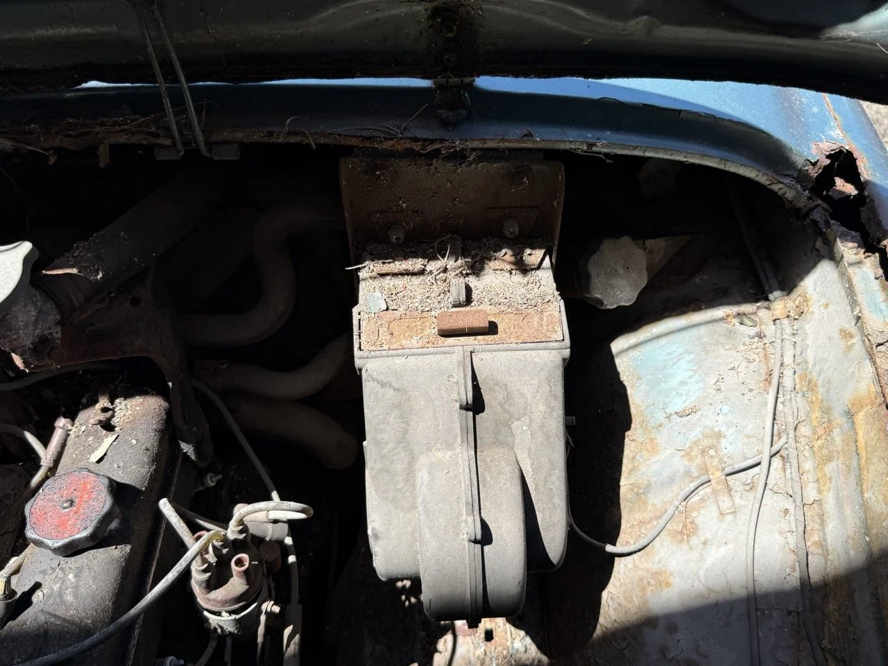 IMG_0873 – grande.jpeg