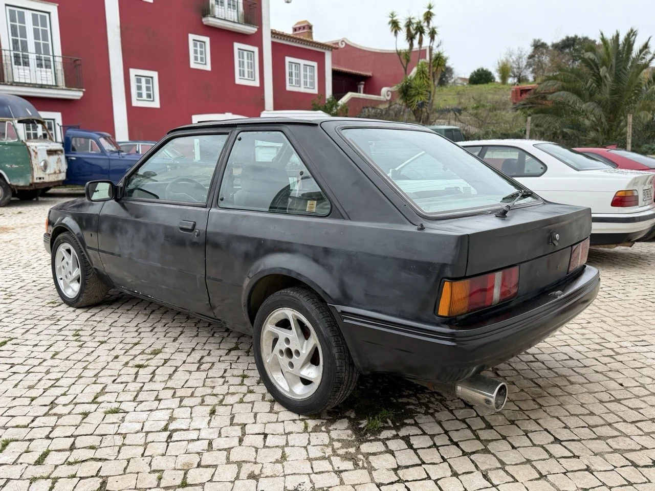 IMG_1256 – grande.jpeg