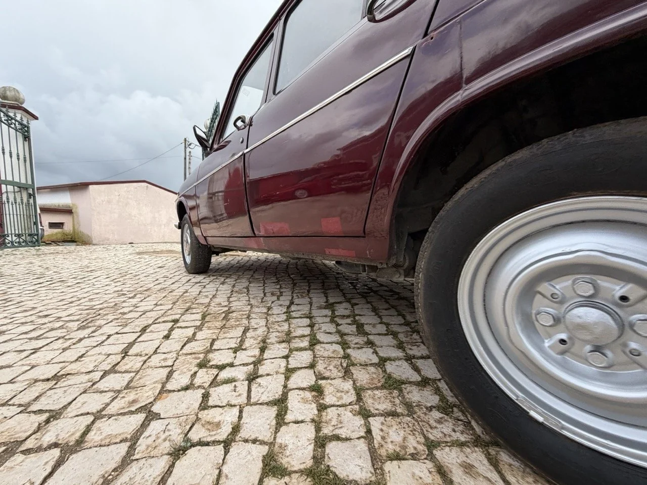 IMG_4950 – grande.jpeg