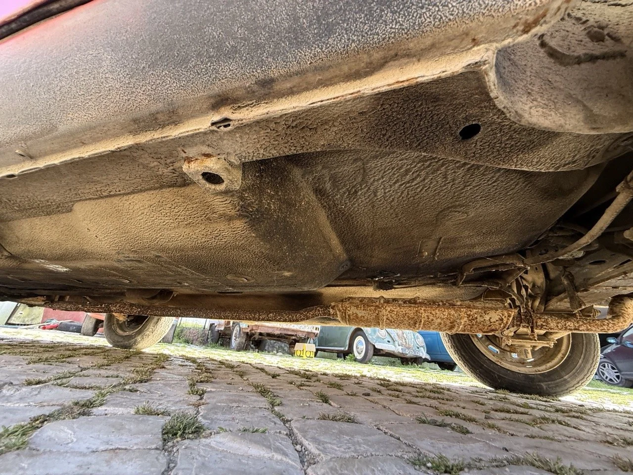 IMG_2361 – grande.jpeg