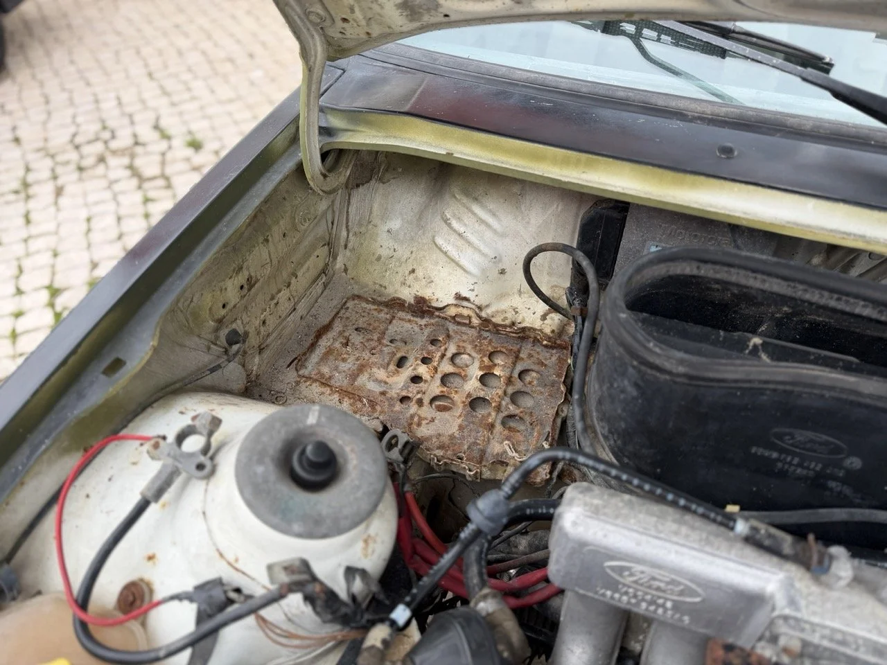 IMG_1347 – grande.jpeg