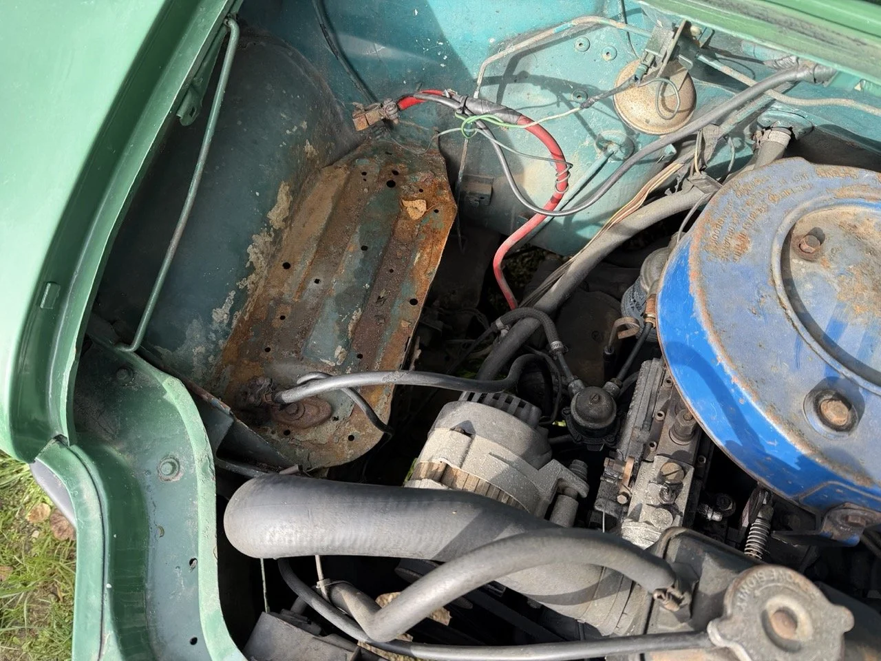 IMG_3890 – grande.jpeg