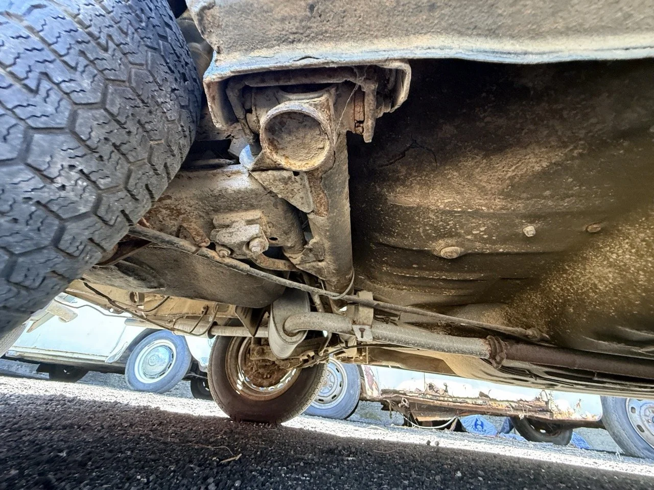 IMG_0811 – grande.jpeg