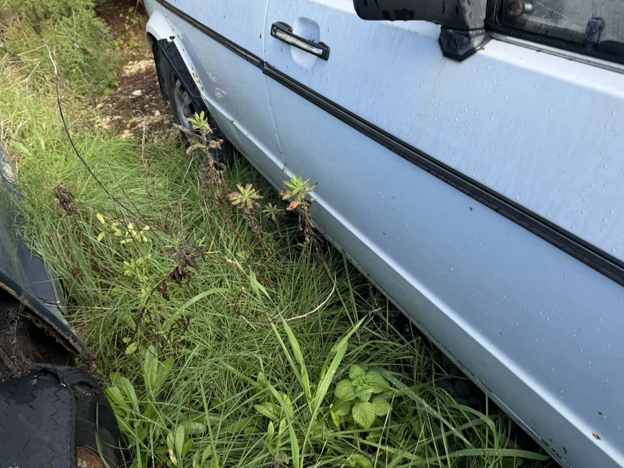 IMG_5186 – grande.jpeg