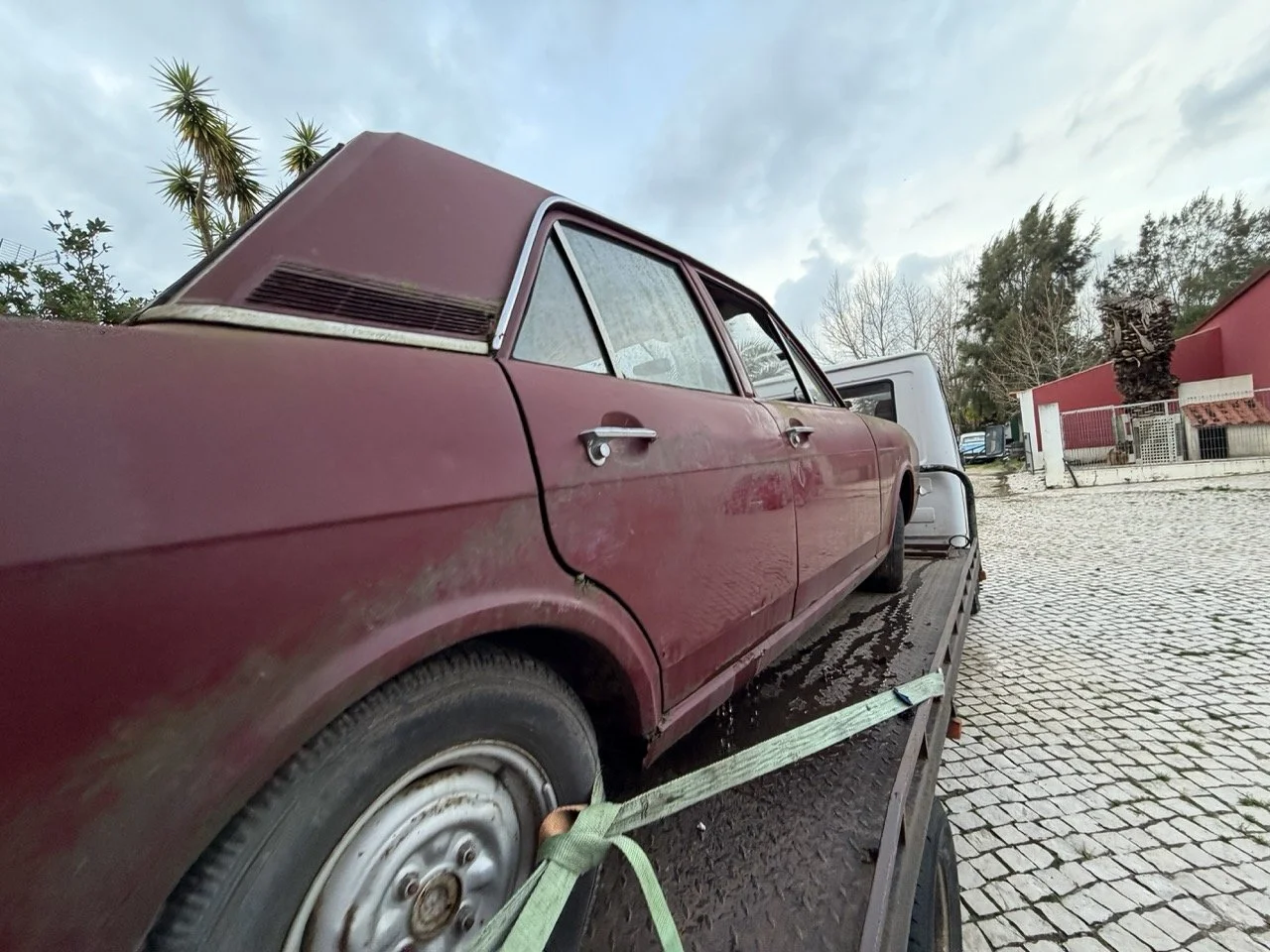 IMG_9020 – grande.jpeg