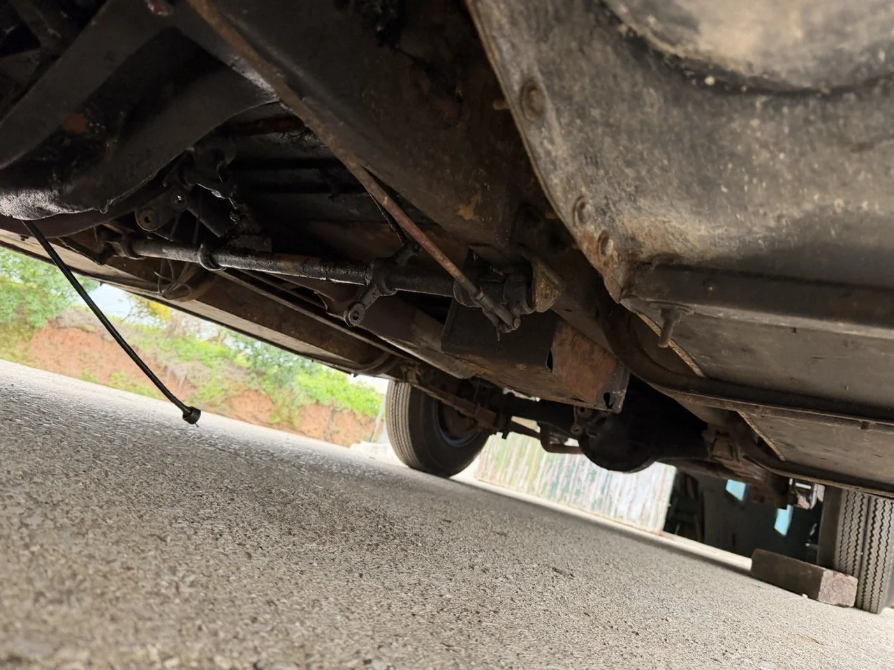 IMG_1568 – grande.jpeg