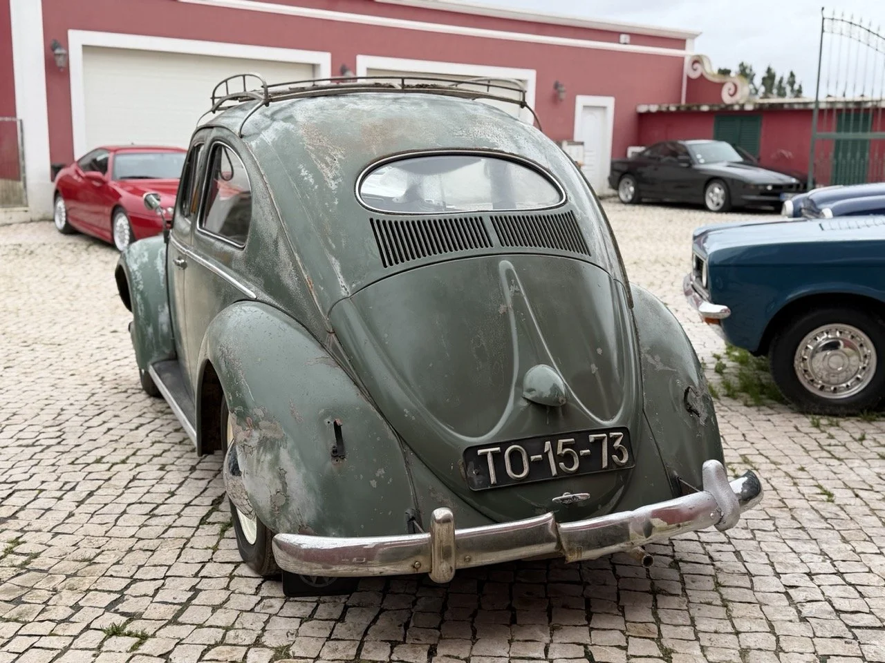 IMG_1102 – grande.jpeg