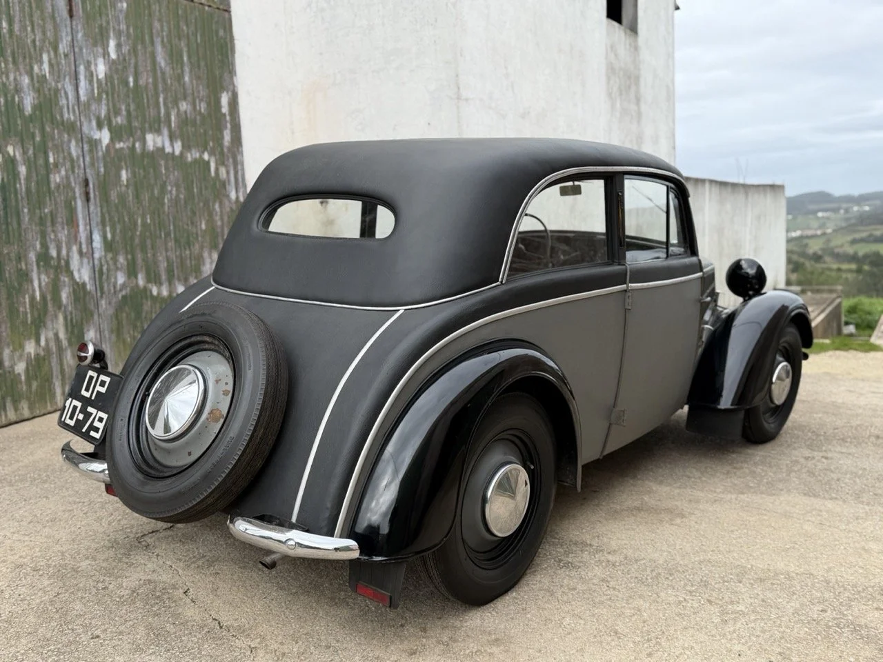 IMG_1410 – grande.jpeg