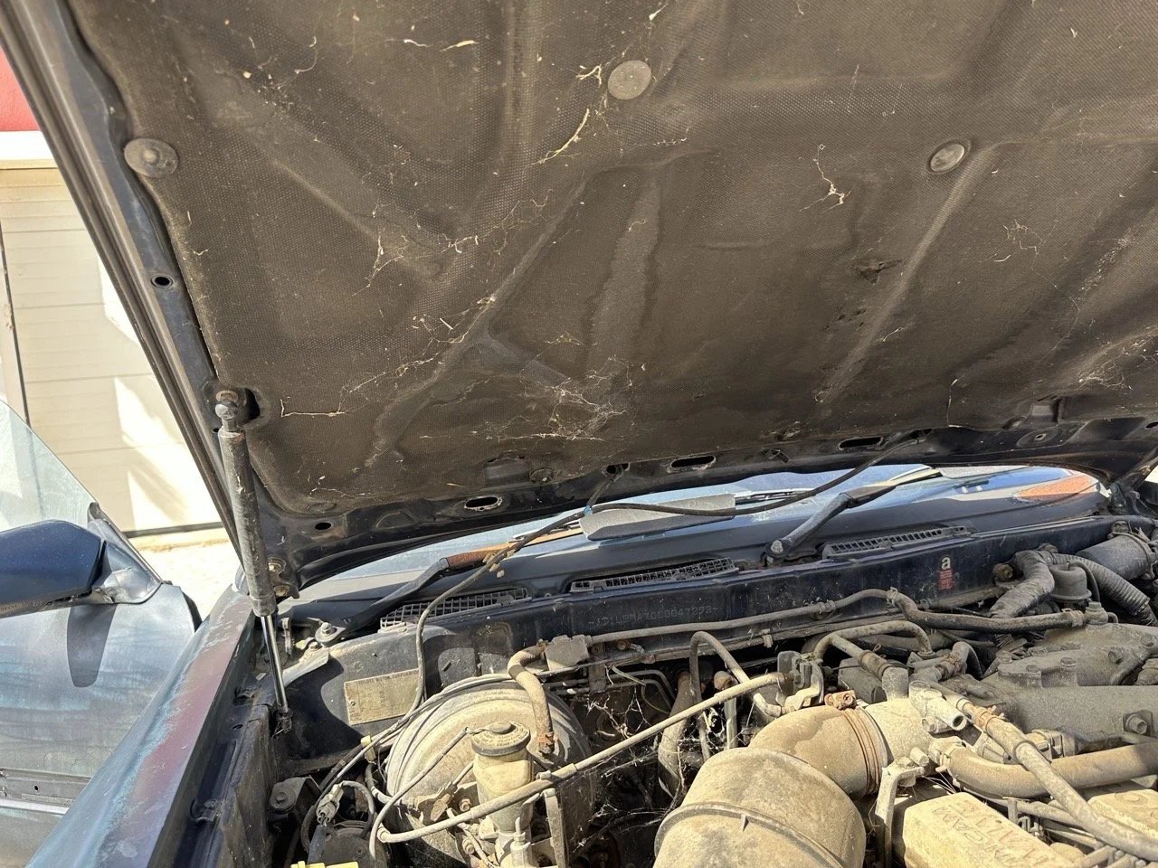 IMG_7218 – grande.jpeg