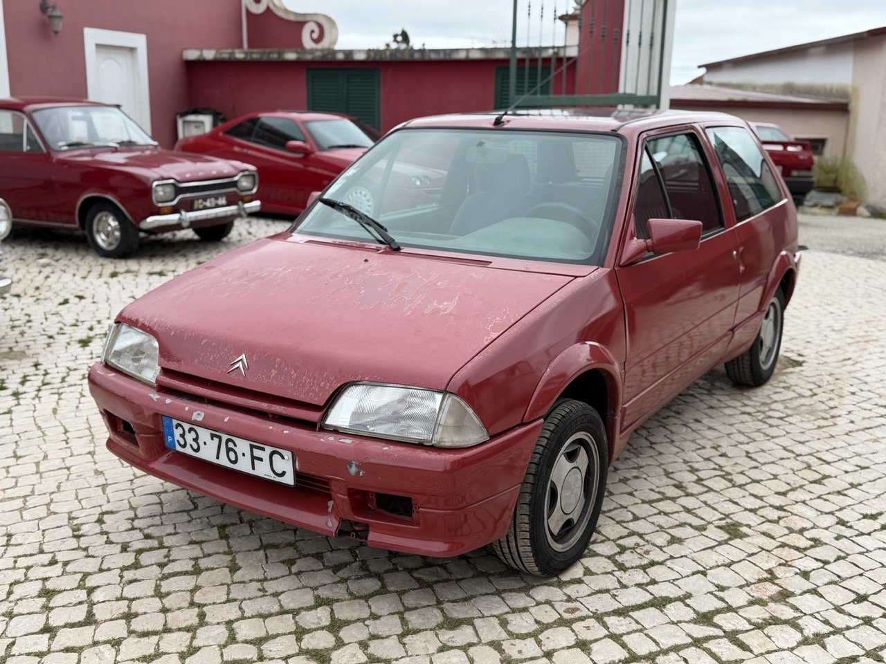 IMG_3567 – grande.jpeg