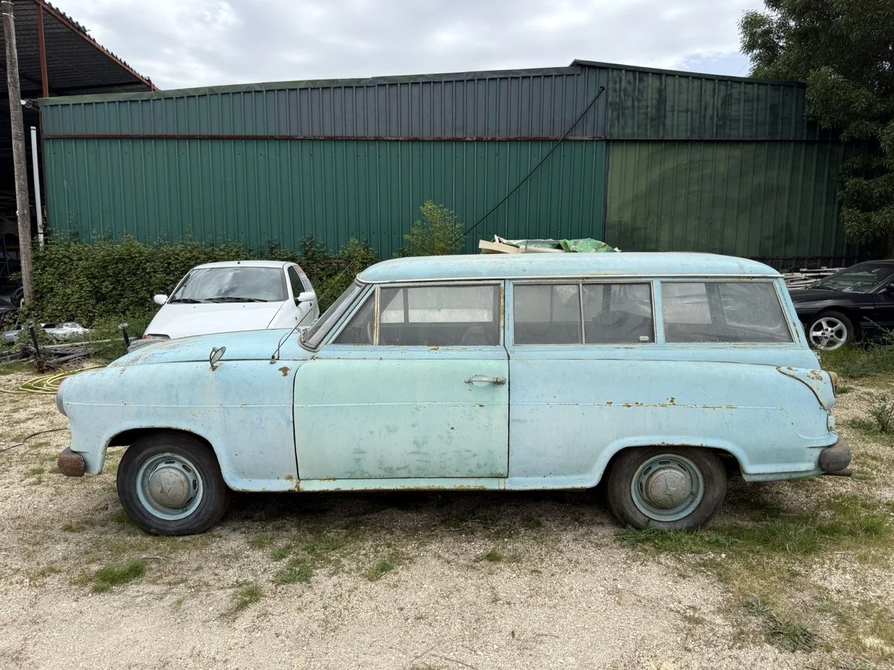 IMG_1349 – grande.jpeg