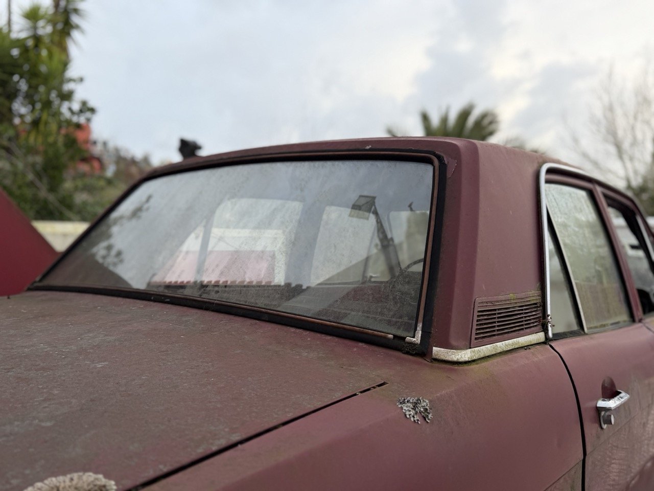 IMG_8987 – grande.jpeg