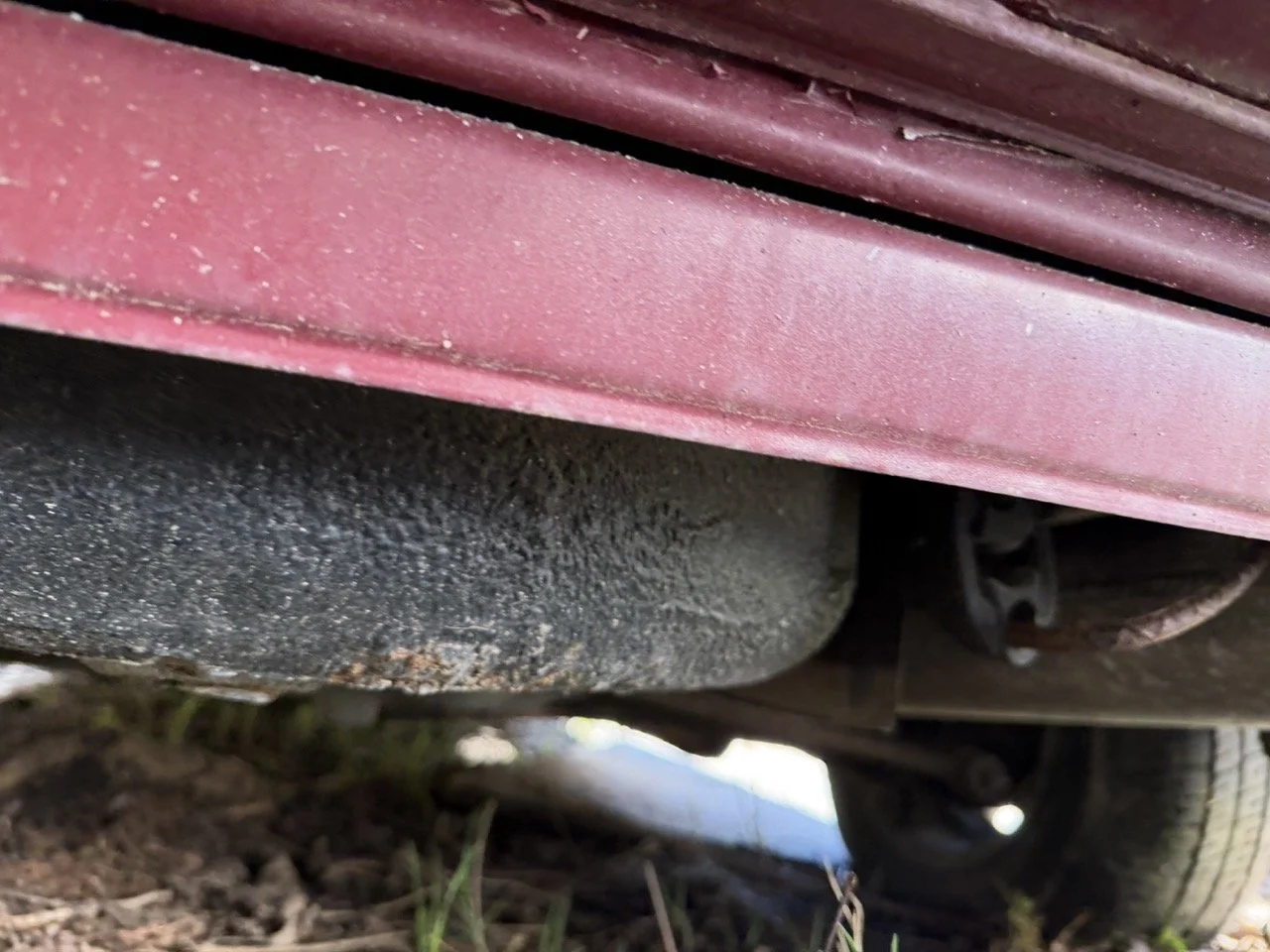 IMG_7643 – grande.jpeg