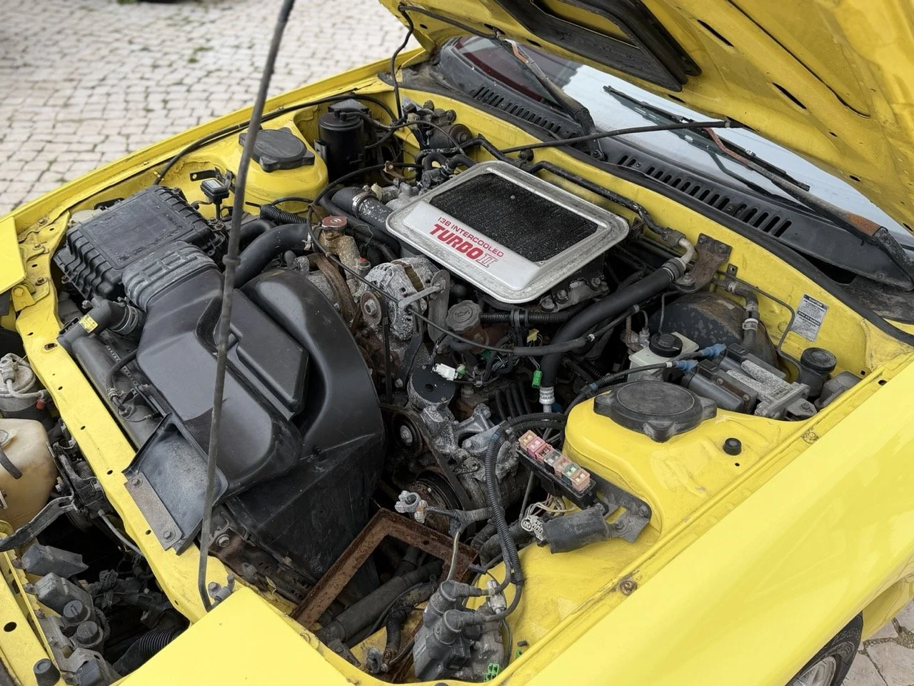 IMG_9747 – grande.jpeg