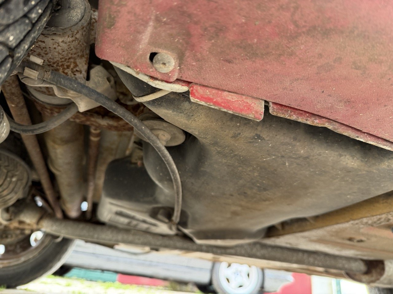 IMG_0471 – grande.jpeg