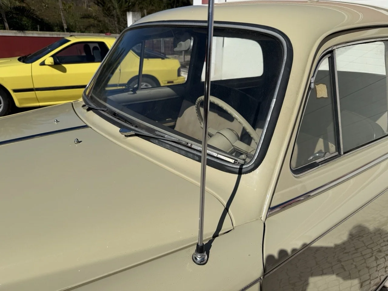 IMG_6713 – grande.jpeg