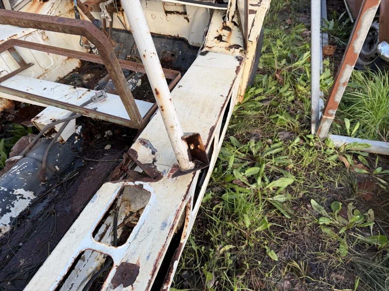 IMG_0916 – grande.jpeg