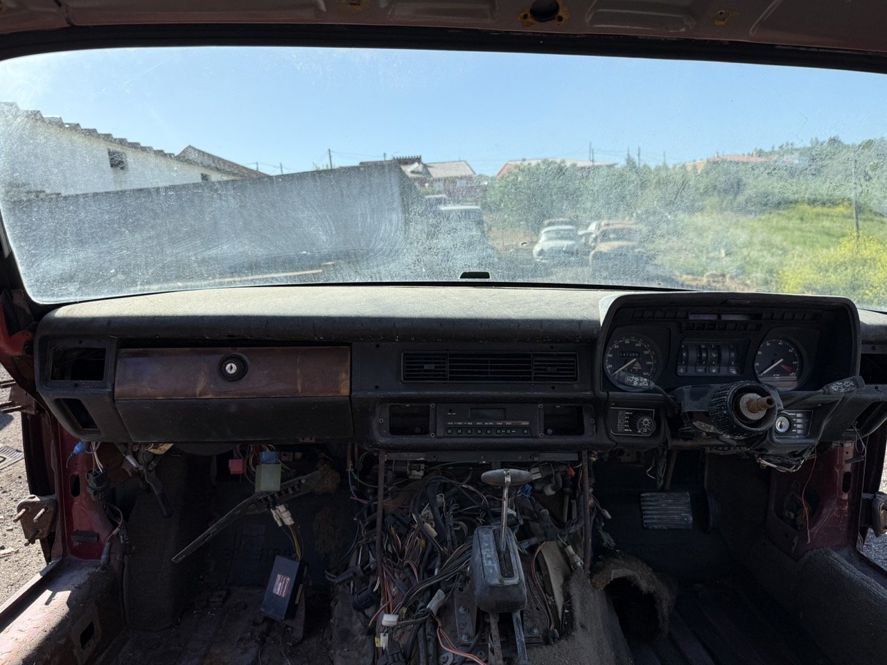 IMG_2984 – grande.jpeg