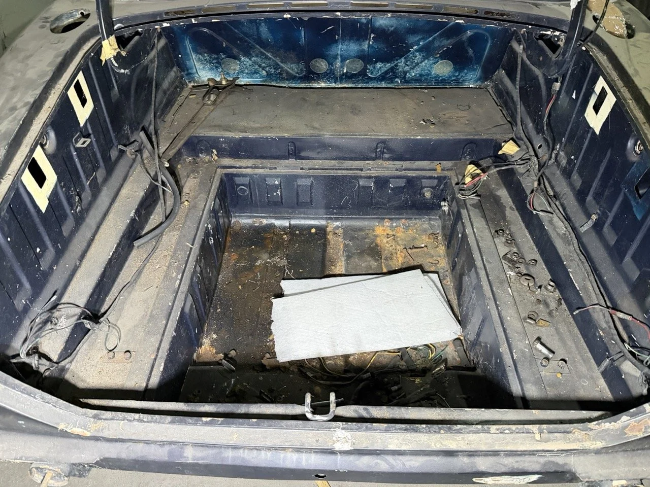 IMG_4238 – grande.jpeg