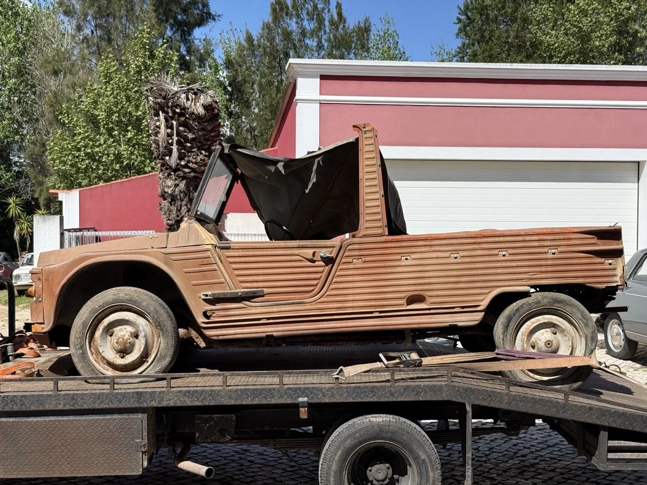 IMG_9097 – grande.jpeg