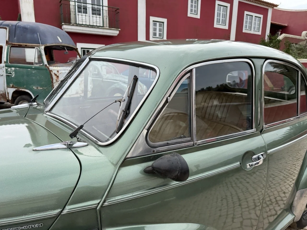 IMG_9880 – grande.jpeg