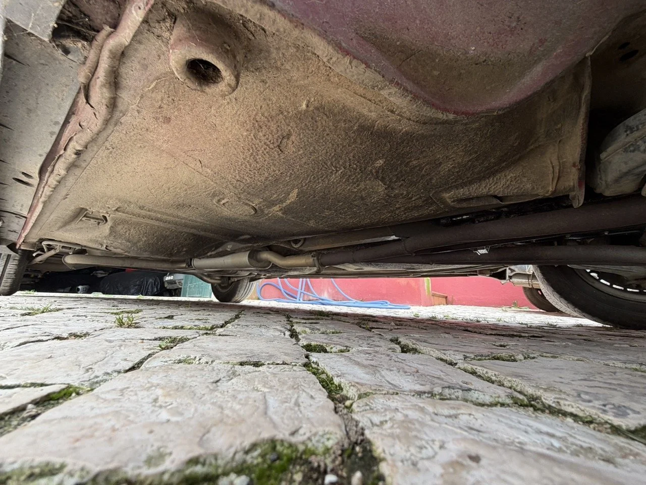 IMG_3535 – grande.jpeg