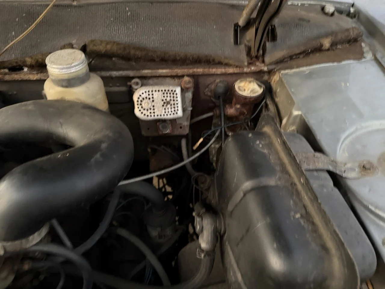 IMG_7519 – grande.jpeg