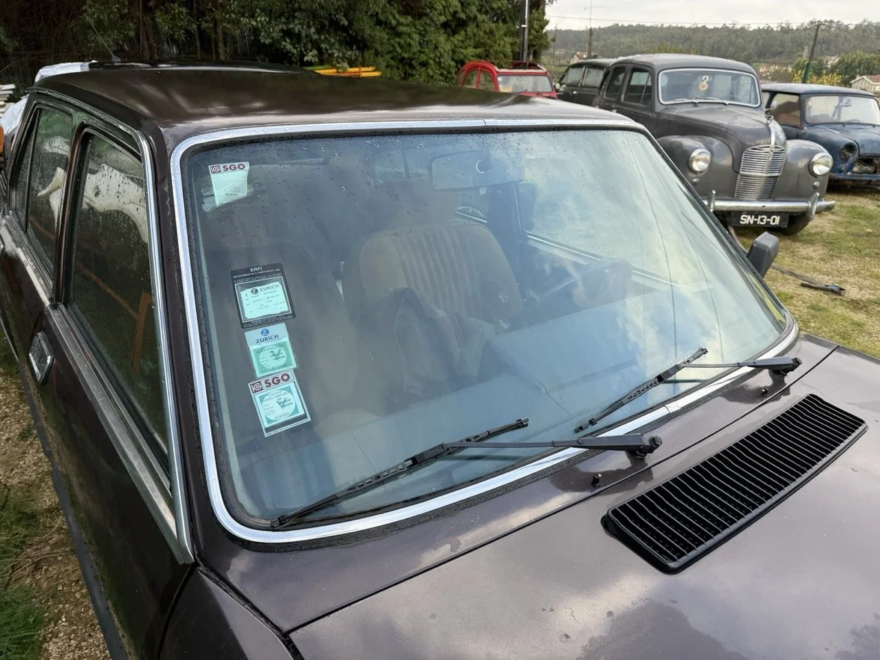 IMG_5259 – grande.jpeg