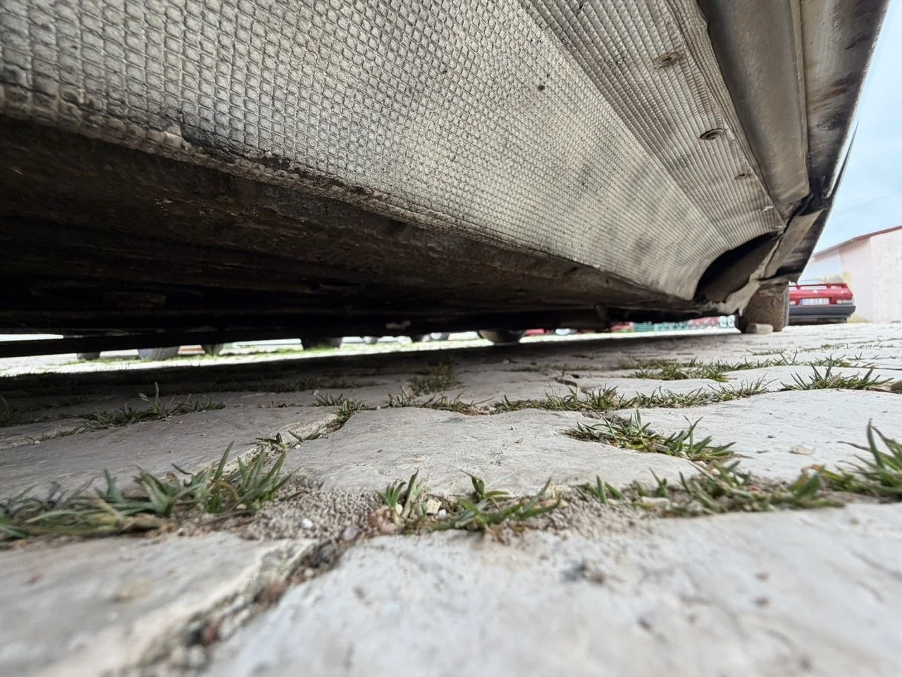 IMG_3784 – grande.jpeg