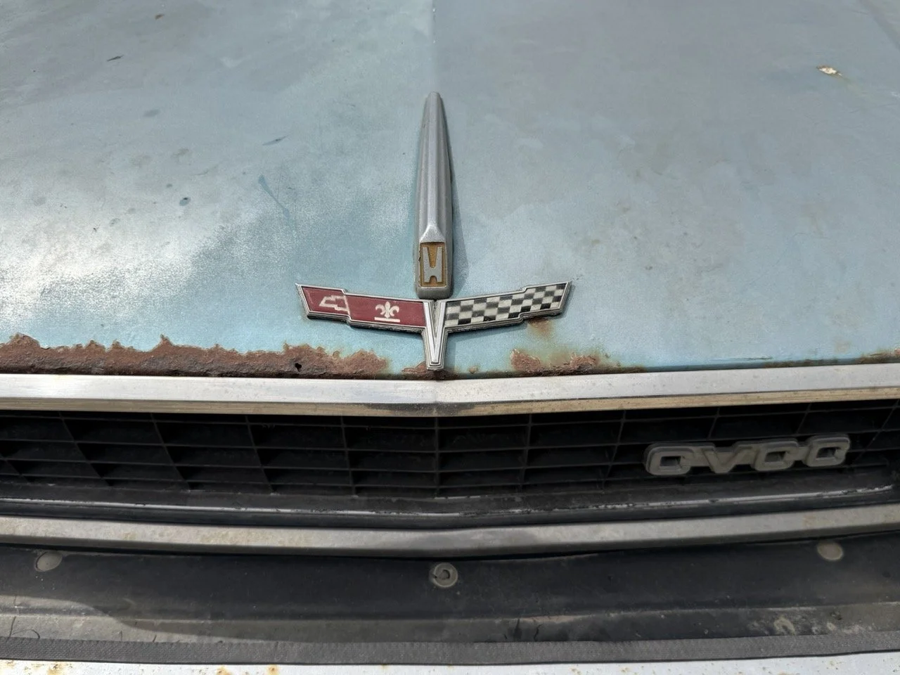 IMG_1558 – grande.jpeg