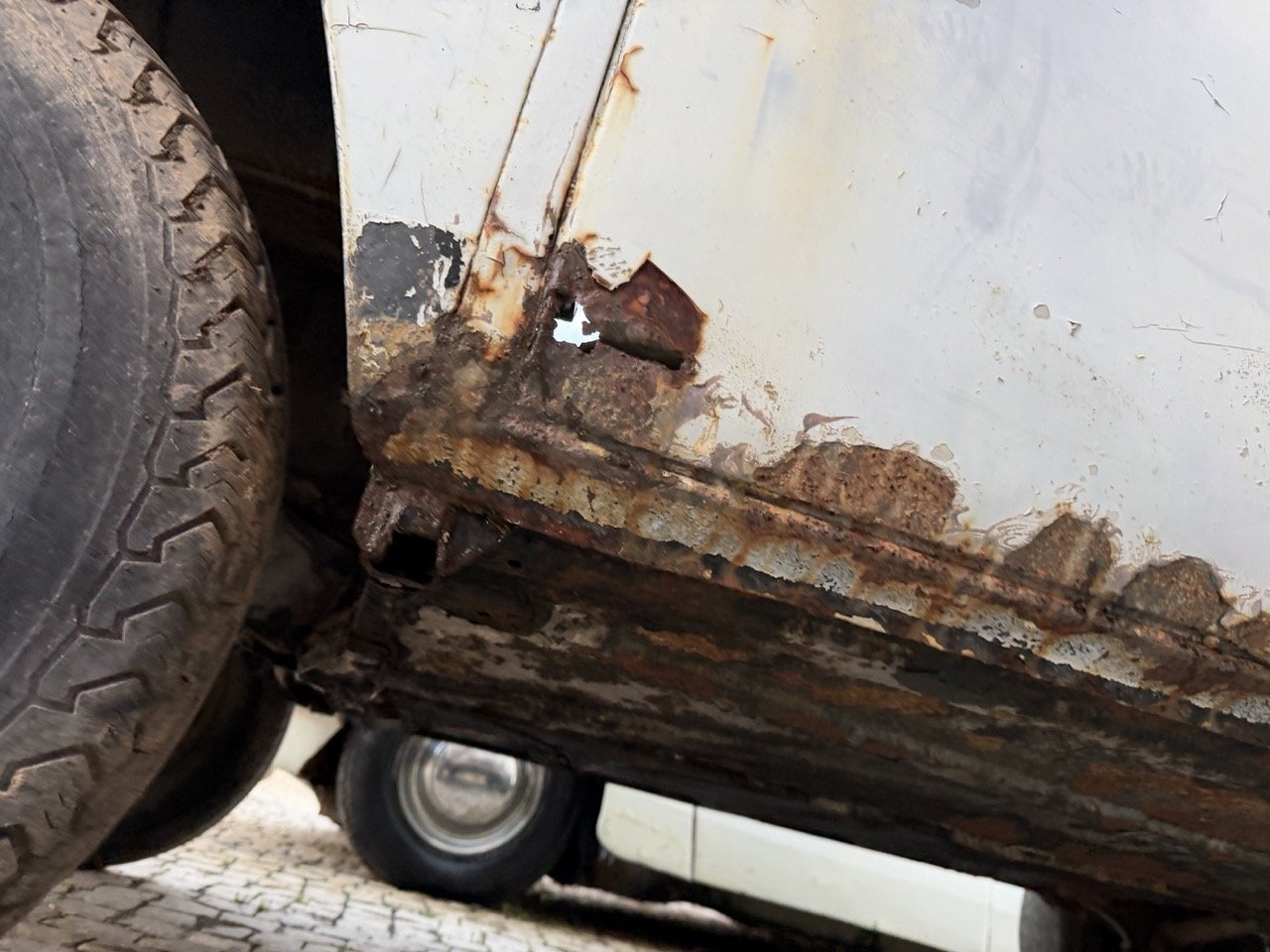 IMG_0830 – grande.jpeg