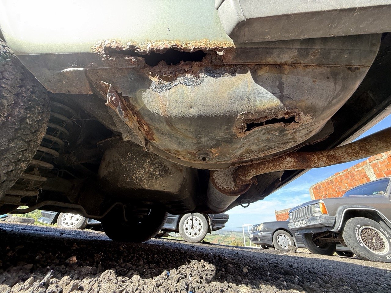 IMG_1226 – grande.jpeg