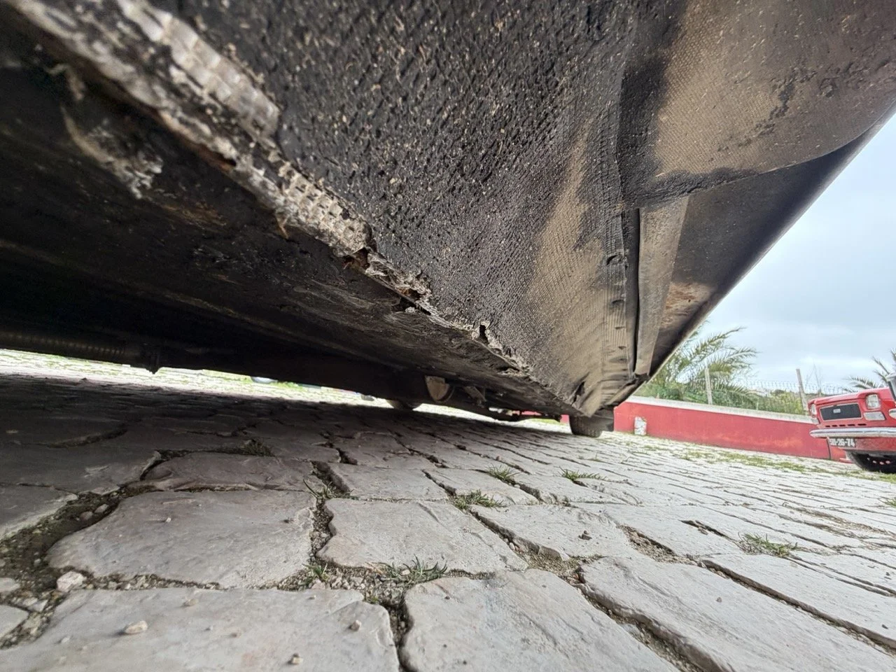 IMG_3777 – grande.jpeg