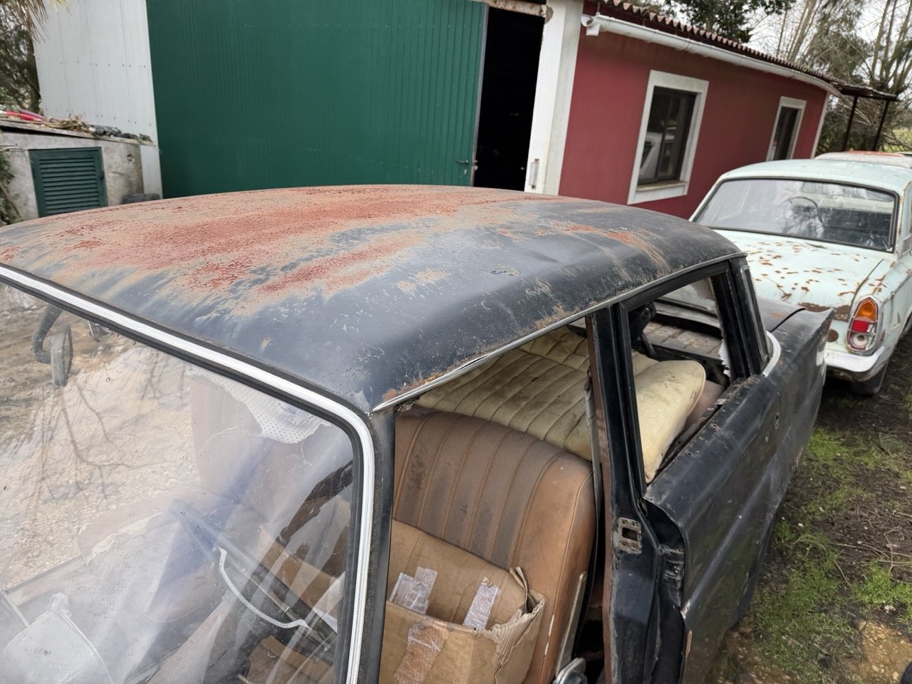 IMG_1937 – grande.jpeg