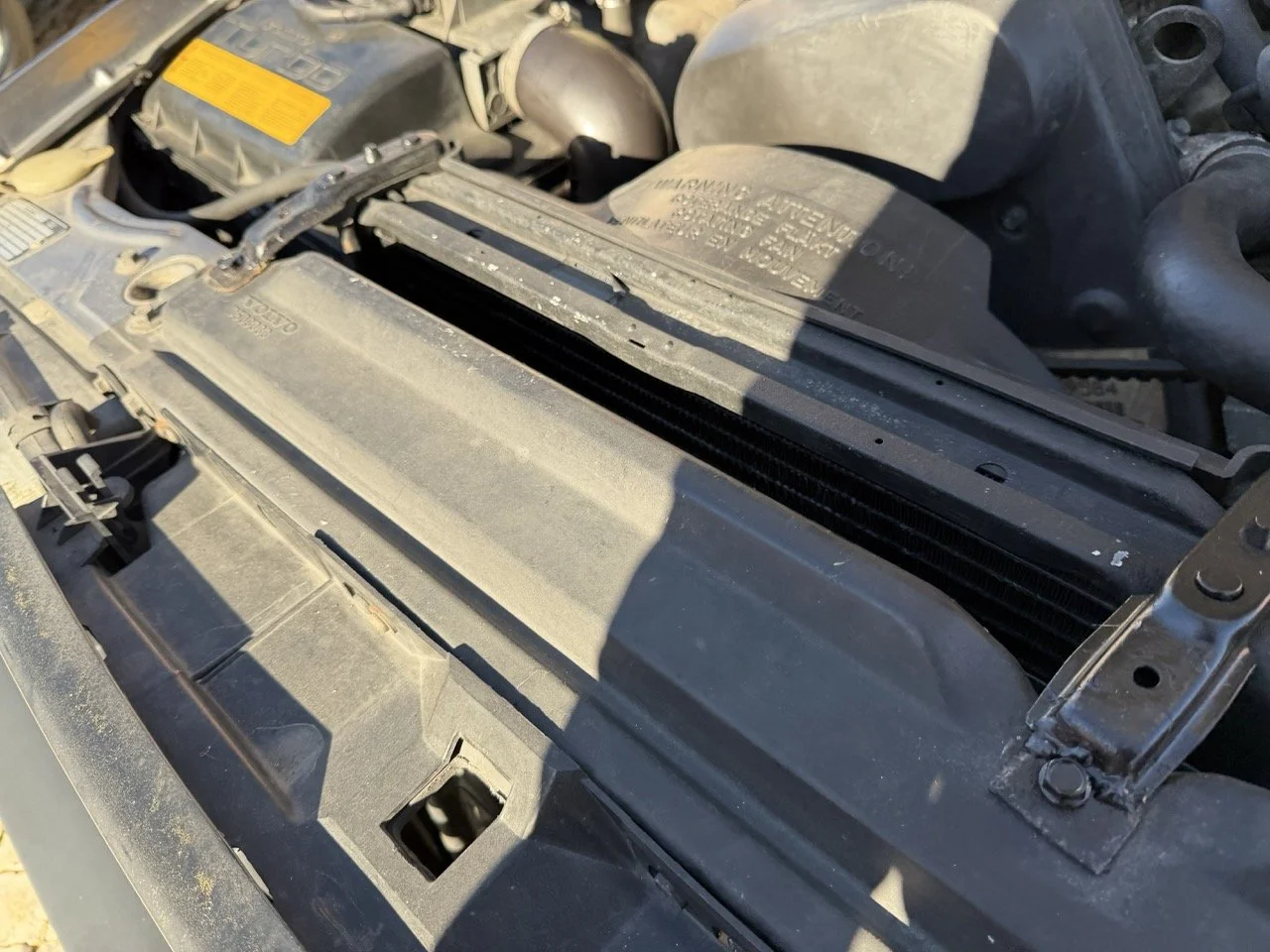 IMG_1992 – grande.jpeg