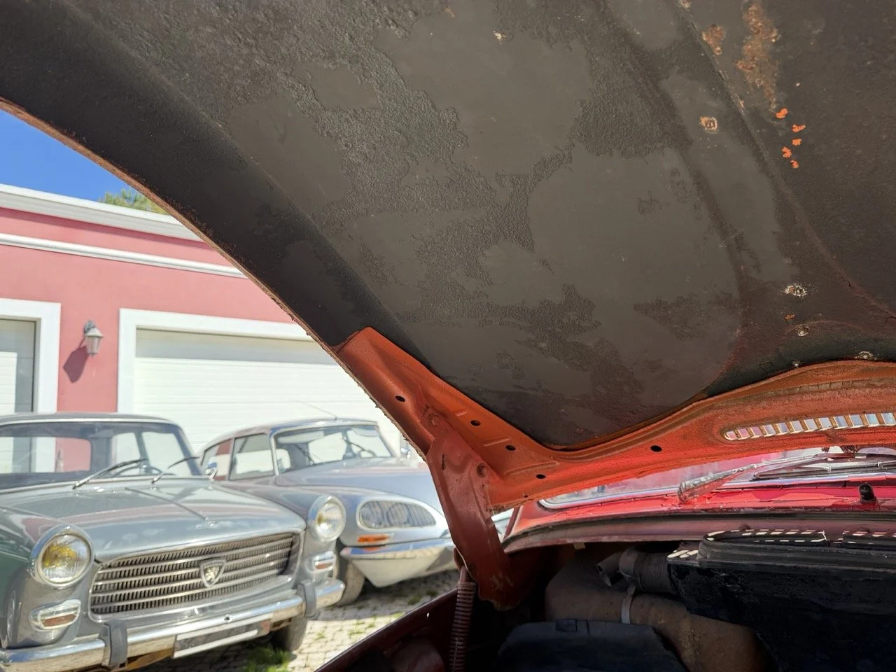 IMG_7568 – grande.jpeg