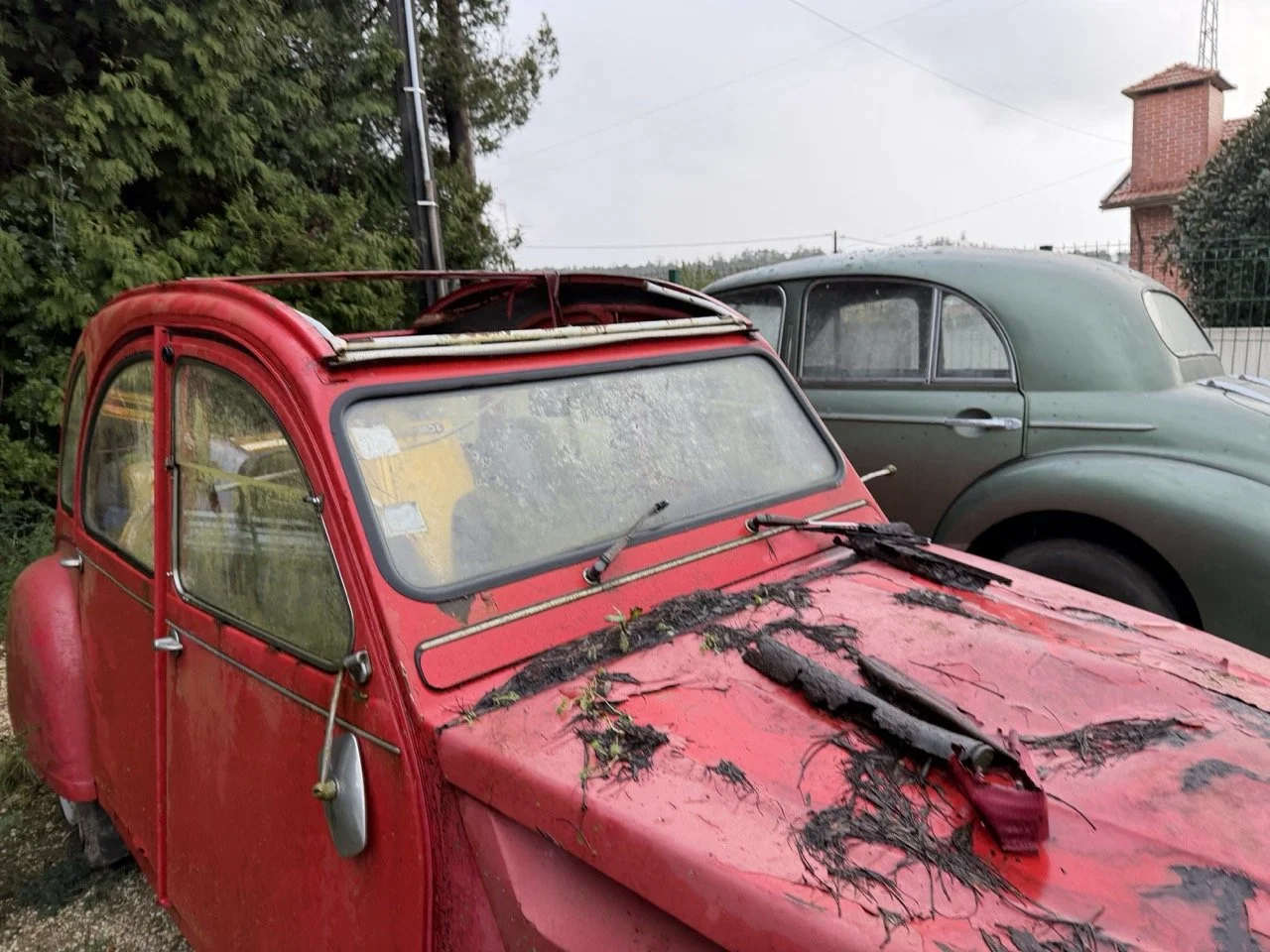 IMG_5497 – grande.jpeg