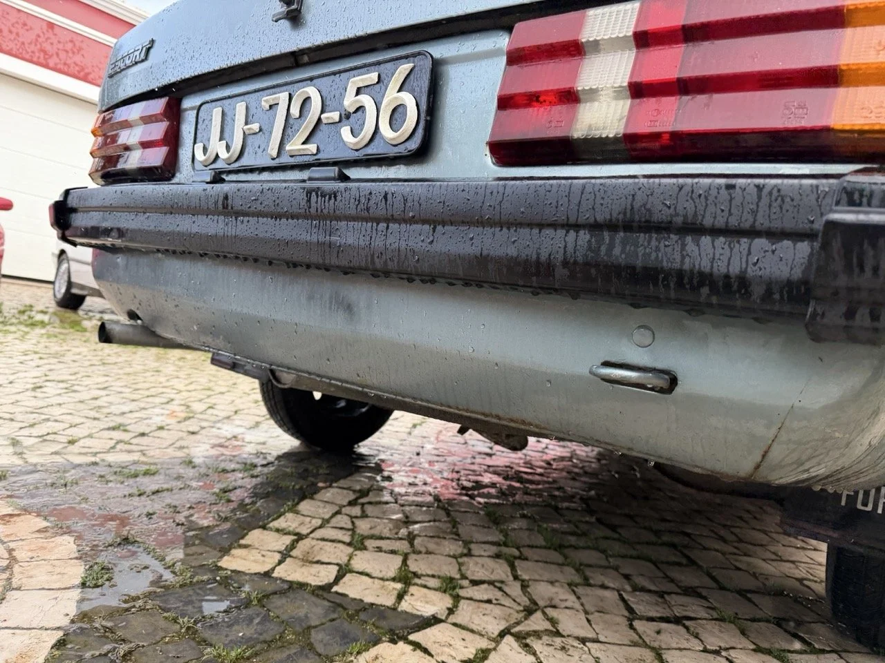 IMG_0636 – grande.jpeg