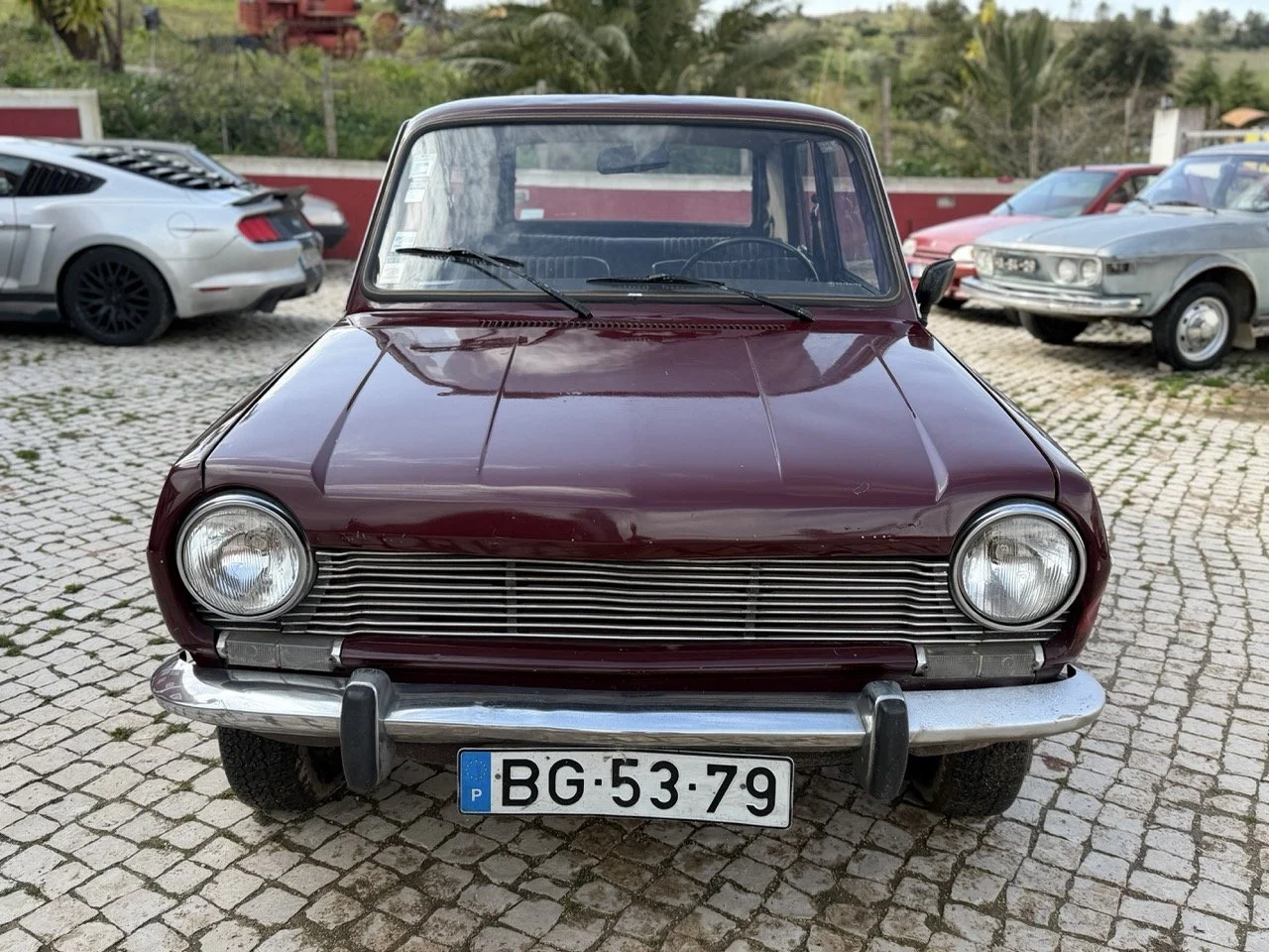 IMG_4881 – grande.jpeg